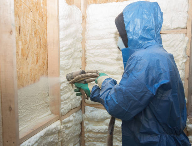 Best Batt and Roll Insulation  in La Porte City, IA